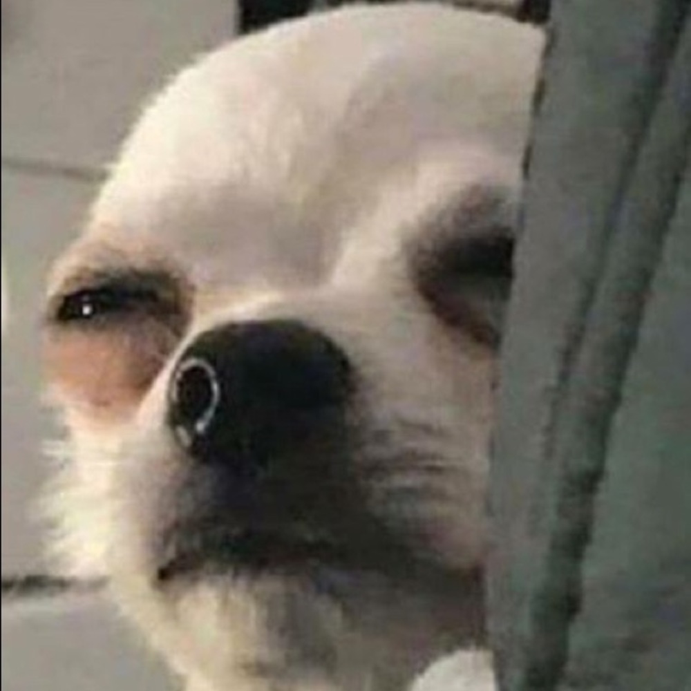 Meet your Posher, Homero